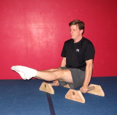 The Ultimate Guide To Mastering the L-Sit, Plance, and Handstand on  Parallettes