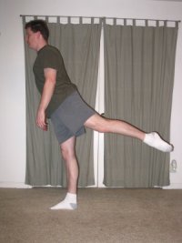 standing leg lift